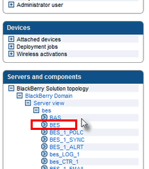 Image:How to find your BES SRP key