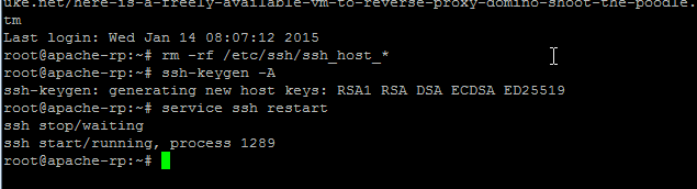 Image:If you are using my Reverse Proxy, please change the SSH host key